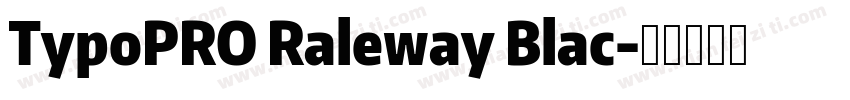 TypoPRO Raleway Blac字体转换